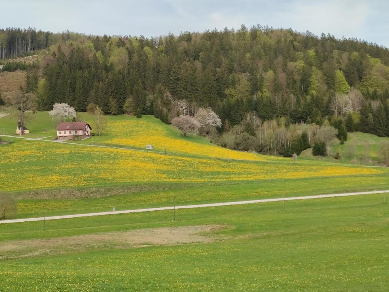 Ferienhaus Schoeller Schönbach Dış mekan fotoğraf